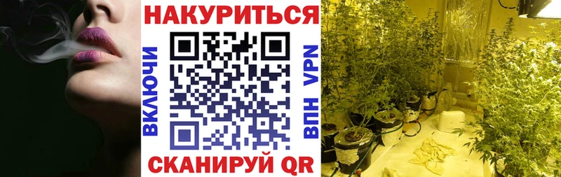 ссылка на мегу онион  Николаевск  Канабис сатива  где продают  